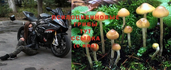 метадон Сафоново
