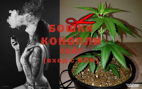 каннабис Волоколамск