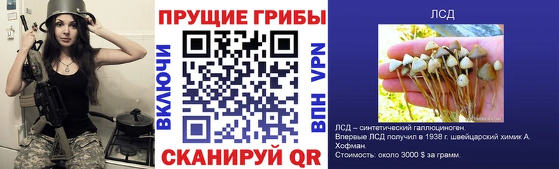 Псилоцибиновые грибы Cubensis  Березники 